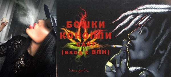 шишки Абинск