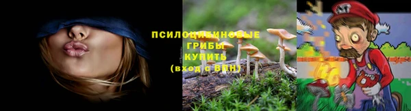 сатива Алексеевка