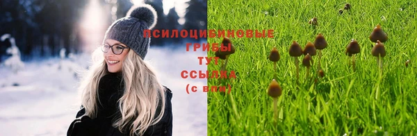 шишки Абинск