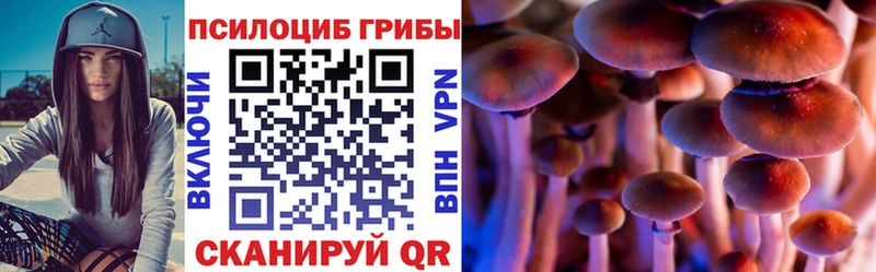 Псилоцибиновые грибы GOLDEN TEACHER  Дрезна 